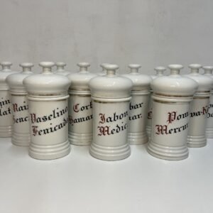 Exclusiva colección completa de albarelos de farmacia principios S.XX 28 cm