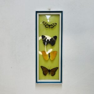 Wallart Papillon 1960’s 32x12 cm